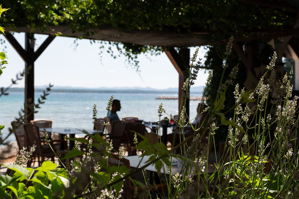 Guests enjoying lunch by the sea at Bartovica
